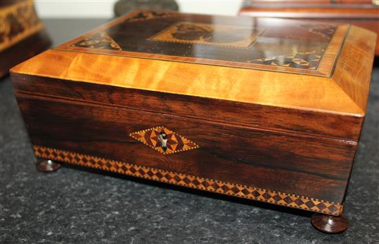 A Tunbridge ware rosewood butterfly mosaic box, 8.25in.